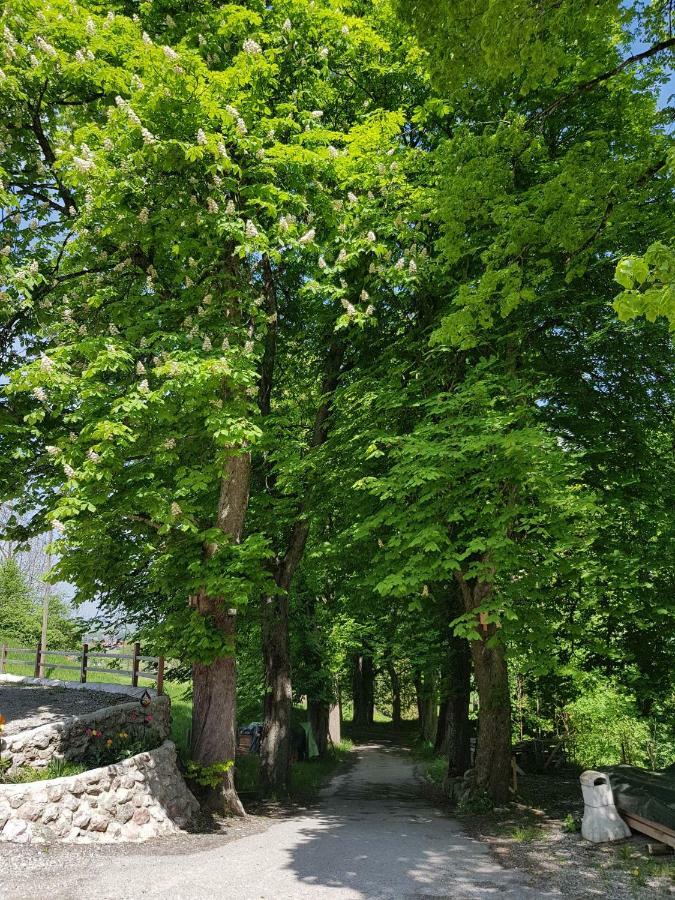 Villa Im Wald Roßhaupten Eksteriør billede